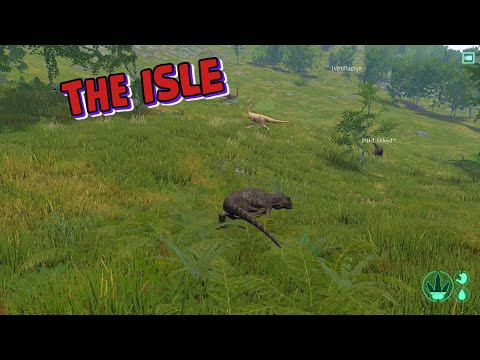 Видео: THE ISLE - Ютараптор угорает с Галлимимусом!