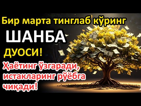 Видео: ШАНБА  куни Пайғамбар Муҳаммад ﷺ дуоси, инша Аллоҳ, омонлик, бойлик ва муваффақият келтиради