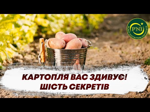 Видео: Вирощування КАРТОПЛІ: СЕКРЕТИ ЕФЕКТИВНОГО УДОБРЕННЯ