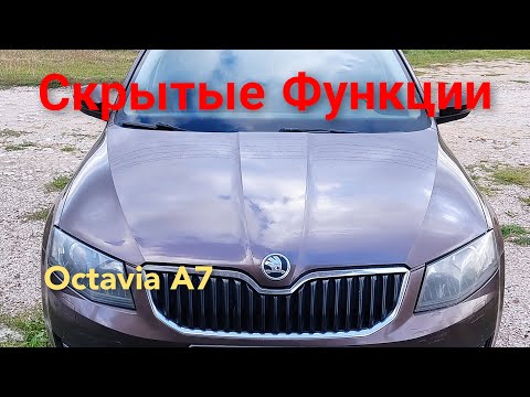 Видео: Скрытые функции Шкода Октавия А7