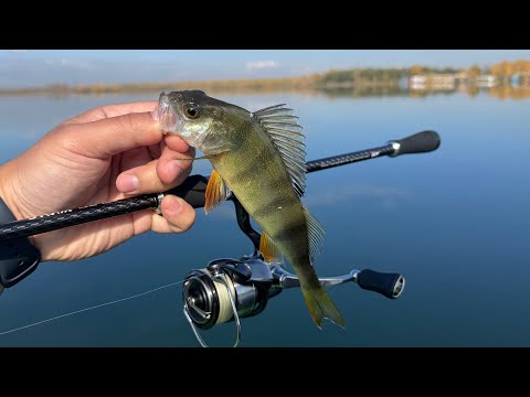 Видео: Осенью за окунем и щукой 🍁 Рыбалка с дальнобоем Tict SRAM TCR-90S "Cаnnon"