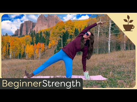 Видео: 30-минутный курс для начинающих на силу и гибкость | Бёдра, подколенные сухожилия и боковые повер...