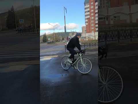 Видео: Прогулка по любимому городу