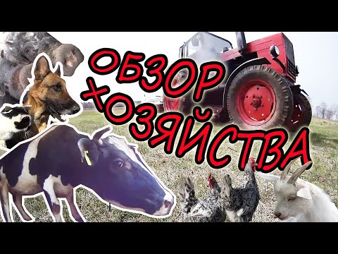 Видео: КУПИЛИ ДОМ! Переехали в деревню! ЗАВЕЛИ ХОЗЯЙСТВО! / ОБЗОР спустя 4 ГОДА! / ПЛАНЫ / Семья в деревне!