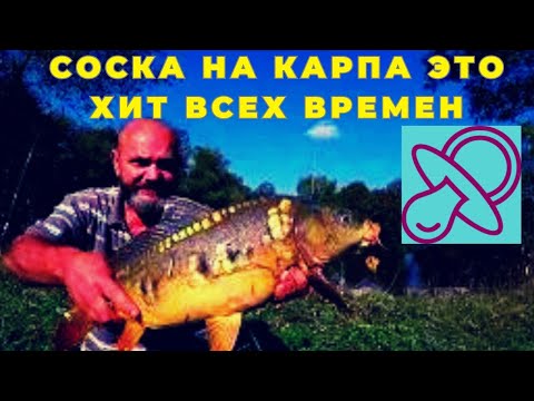Видео: Монтаж СОСКА  на карпа это хит всех  времен который ловил и будет ловить всегда