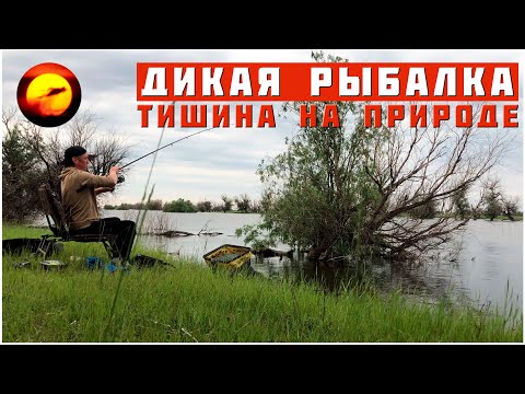 Видео: Дикая Рыбалка это Лучшая Рыбалка / Полное Спокойствие и Тишина