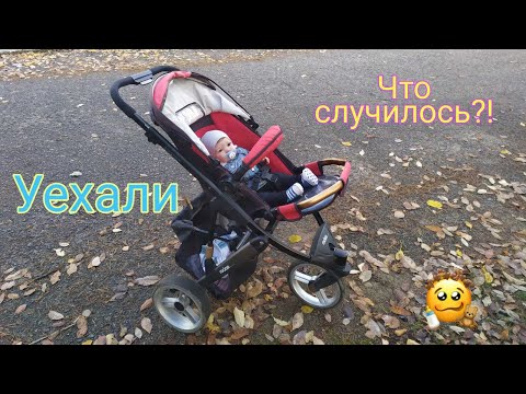 Видео: Vlog День с Реборном Тобиахом