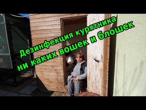 Видео: Дезинфекция курятника: надежно, дешево и эффективно