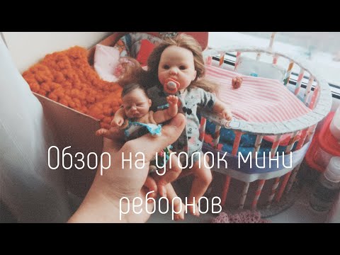 Видео: Обзор на уголок мини реборнов!