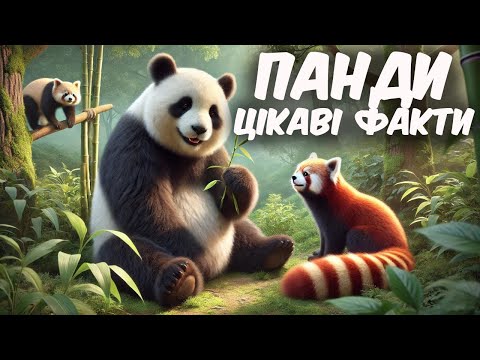 Видео: Панди. Велика і червона панди. Цікаві факти про панд