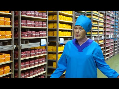 Видео: Сыроделы из Белыничей. Семейное дело семьи Мордачевых.