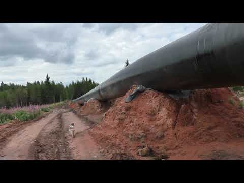 Видео: Заглядывая в" Кротовую нору".Разведка в Дивенской. Северный поток. Шведские горы.