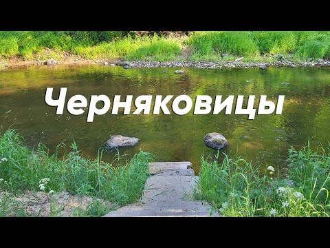 Видео: Черняковицы. Псковская область. Медитация у реки, идеальное место для кемпинга в лесу