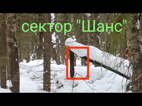 Видео: Охота на волков в Вологодской обл. #2 Неожиданная развязка .
