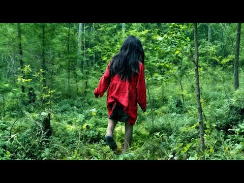 Видео: 4-х летняя девочка ИСЧЕЗЛА в лесу, но через 12 дней все были шокированы увиденным