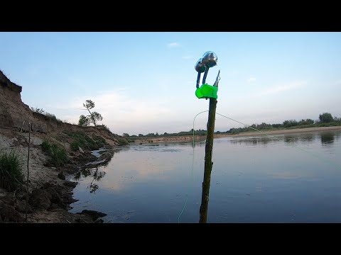 Видео: Рыбалка на ДОНКИ, без ЗАМОРОЧЕК с ночевкой! Сом, Судак летом на реке