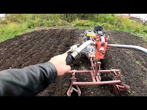 Видео: Садимо часник Любаша. Вухаті сошнички.