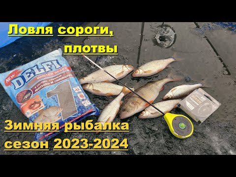 Видео: Ловля сороги и плотвы зимой. Зимняя рыбалка сезон 2023 - 2024