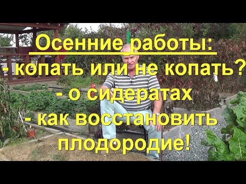 Видео: 90. Осенний огород - восстановление плодородия!