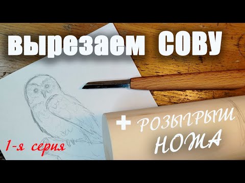 Видео: Вырезаем сову. Первая серия. Плюс розыгрыш ножа.