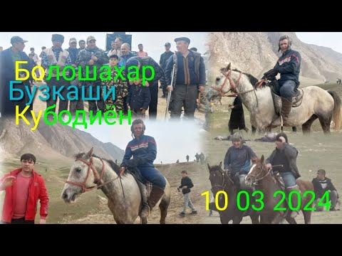 Видео: Улок Кубодиён Болошахар 10 03 2024 бузкаши зур шид