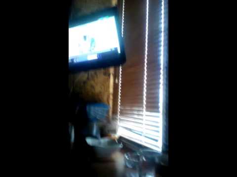 Видео: Карусель фрагмент эфира (11.08.2016)