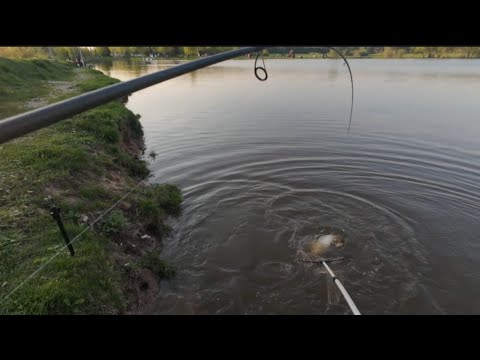 Видео: Отчет о рыбалке в Мосфишер