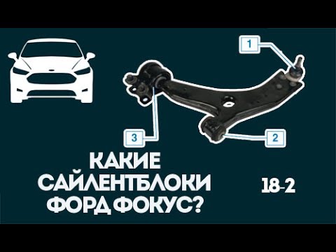 Видео: Сайлентблоки какой фирмы лучше? ЧаВо 18-2