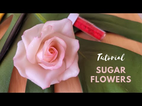 Видео: 📍ЛЕГКАЯ реалистичная роза из мастики | УЧЕБНОЕ ПОСОБИЕ ДЛЯ НАЧИНАЮЩИХ 🌸 Как сделать простые сахар...