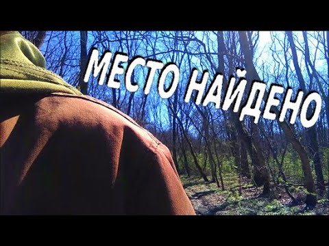 Видео: ВЫЛАЗКА В ЛЕС НА ПОИСКИ МЕСТА ДЛЯ ХИЖИНЫ / СЛЕДЫ ДИКИХ ВЕПРЕЙ