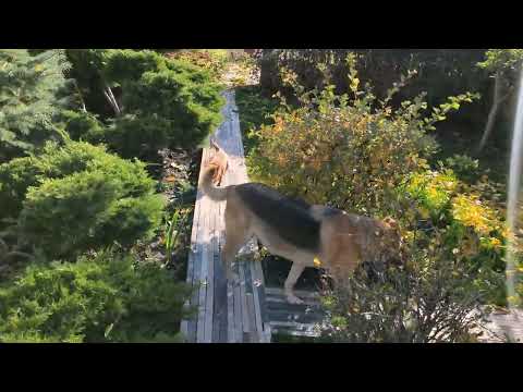 Видео: 30 ОКТЯБРЯ 2025 ГОДА