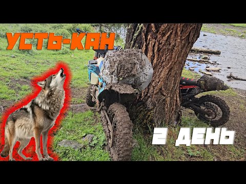 Видео: Усть-Кан. Воет волк. Побывали на Марсе. Возвращаемся домой. 2 день 3ч