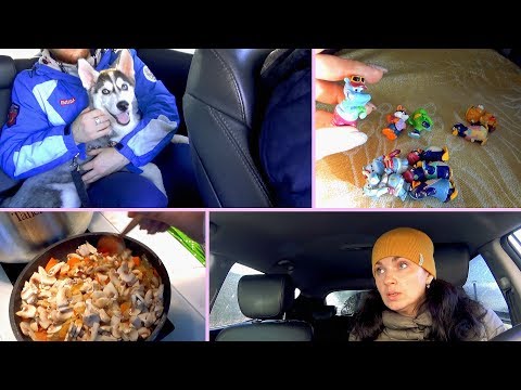 Видео: VLOG: Не езжу зимой / Готовлю / Хаски Альф / Мама Вика