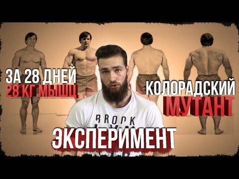 Видео: Разоблачение Колорадского Эксперимента (28 КГ МЫШЦ за МЕСЯЦ)