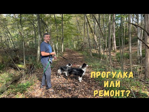 Видео: Нацепляли клещей на прогулке ✨ Необычный детский сад