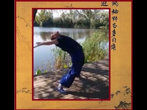 Видео: Владимир Амида: "Специальные упражнения на разработку поясницы в багуачжан" (2021 г.)