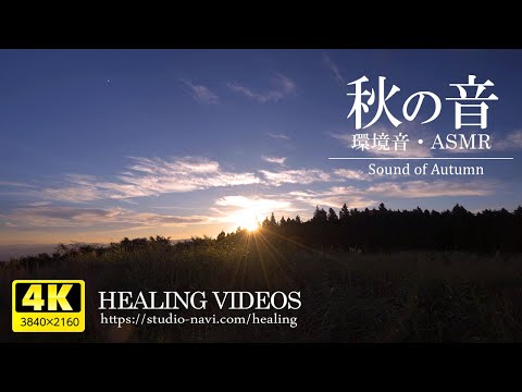Видео: [Звуки окружающей среды/АСМР] Осенние звуки/Плато и сверчки заставляют вас почувствовать осень.