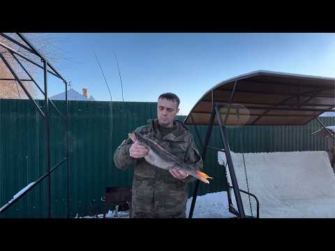 Видео: Запекаем судака в фольге. Рецепт от «шепота тайги»