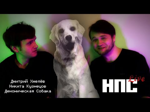 Видео: НПС Live с Никитой Кузнецовым
