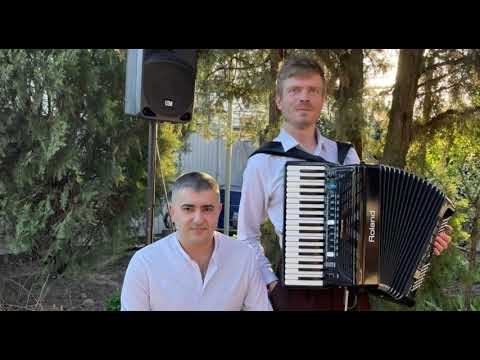Видео: Martin Sway Андрей Замковой Аккордеоншпилер, ударник Альберт Баян #youtubeshorts #accordion 