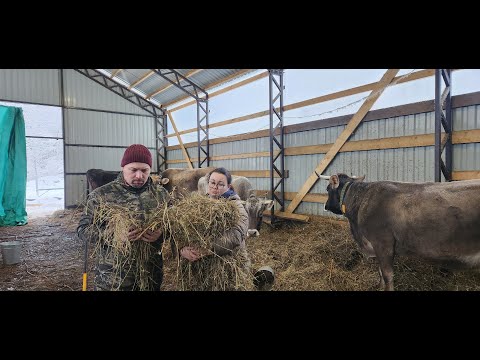 Видео: Есть нельзя затаптывать. Запятую ставим, где больше нравится. Наше сено.