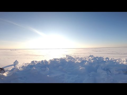 Видео: Рыбалка у чёрной дыры. Перемёт на Енисее. Серия семьдесят третья.