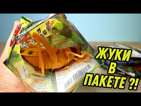 Видео: ОГРОМНЫЕ ЖУКИ ВМЕСТО ИГРУШКИ СБАБАМ ?!