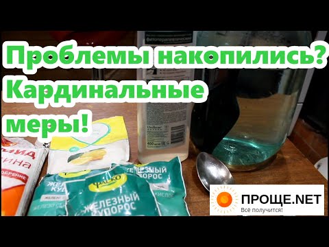 Видео: Искореняющая обработка для роз и плодовых осенью.