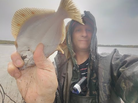 Видео: Идущий по воде.Рыбалка на берегу Белого моря осенью сетями.