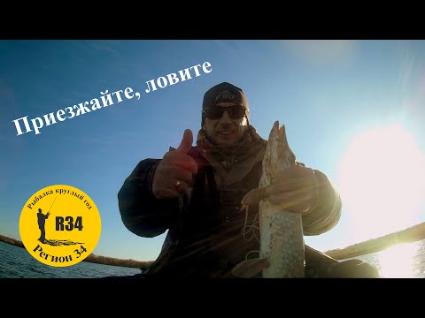 Видео: Давно не рыбачили на этом пруду. Щуки не мерено , но ........