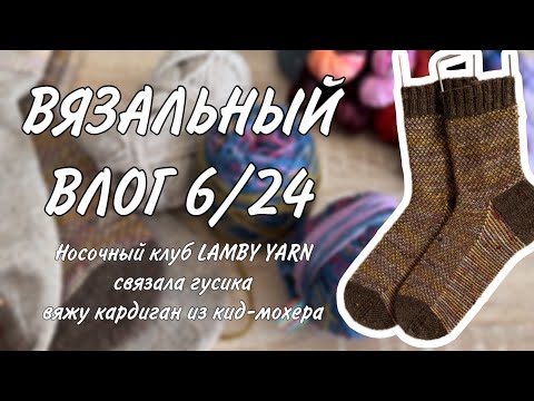 Видео: ВЯЗАЛЬНЫЙ ВЛОГ 6/24: носочный клуб от LAMBY YARN, связала гусика, летом вяжу из кид-мохера