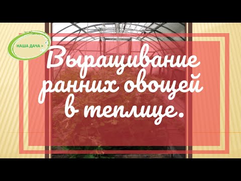 Видео: Выращивание ранних овощей в поликарбонатной теплице в Сибири. Часть 1.  Долгих Анна