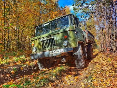 Видео: Осенняя заготовка дров на ГАЗ-66! Вездеход, внедорожник!
