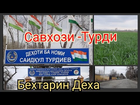 Видео: Хамадони дехаи Савхози Турди яке аз бехтарин дехахои нохия аст